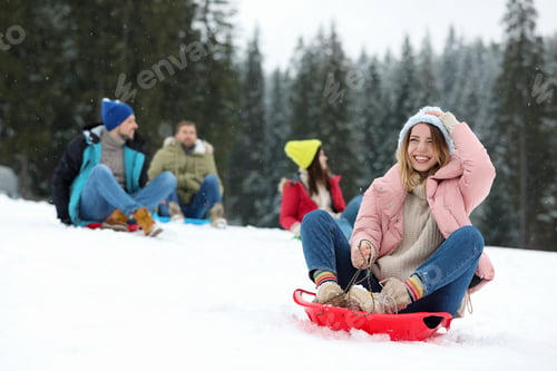 Preview: Happy friends sliding on sleds outdoors. Winter vacation