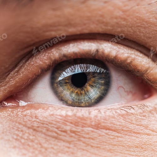 Preview: close up view of human colorful eye with eyelashes