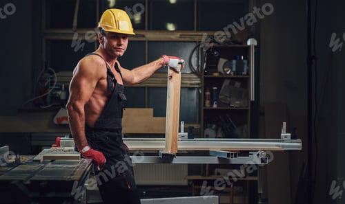 Preview: Portrait of shirtless muscular carpenter.