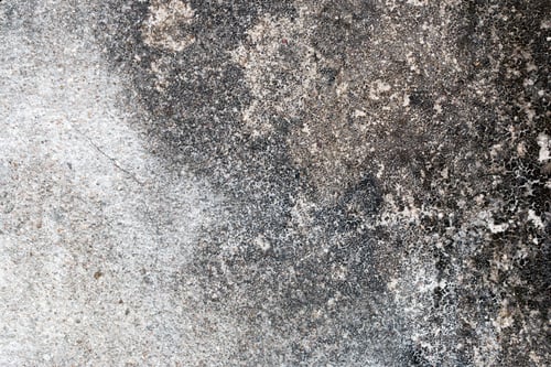 Preview: Light Gray Stucco Wall Texture. Abstract Background