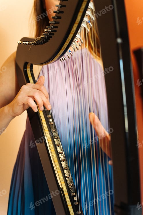 Preview: Hungarian harpist playing an electronic harp