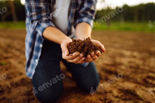 Preview: Soil is in the strong hands of a farmer on a black field. Agriculture or gardening concept.