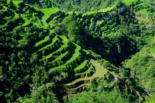Preview: High angle shot of a beautiful landscape in Banaue Rice Terraces, Ifugao Province, Philippines
