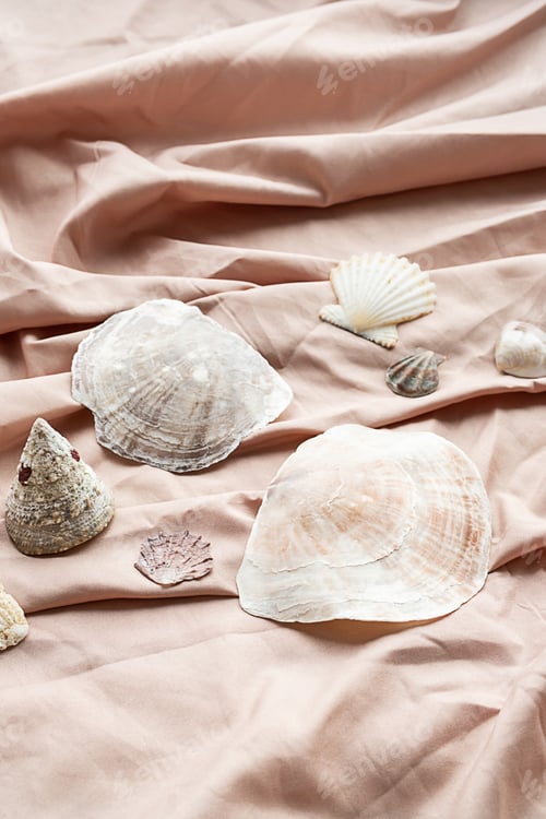 Preview: Some seashells on textile background. Sea shells maritime wealth.