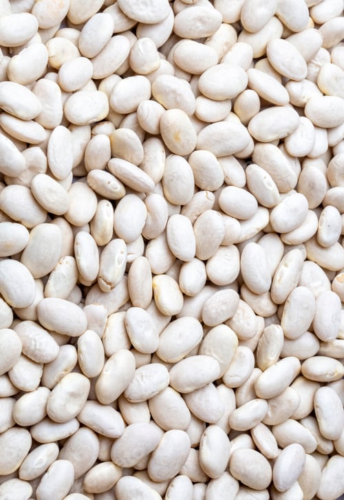 Preview: White haricot beans on the white background