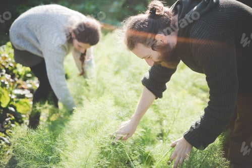 Preview: Young couple gardening