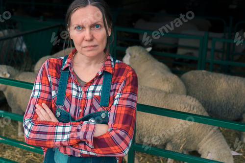 Preview: Female farmer on sheep farm