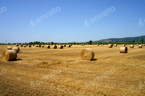 Preview: Country landscape near Barbarano, Vicenza, Italy