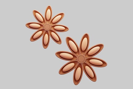 Preview: Stylized 3D Star Anise Spice