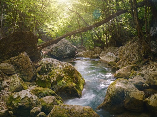 Preview: small river deep in the green forests