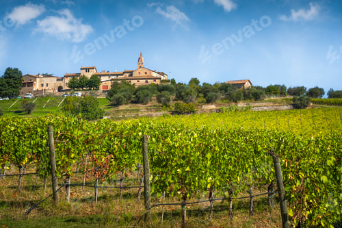 Preview: Vineyards and San Gusmè Village in Chianti, Tuscany, Italy