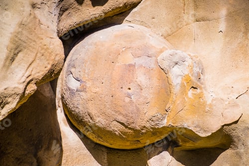 Preview: Spherical concretion formed in a sandstone rock