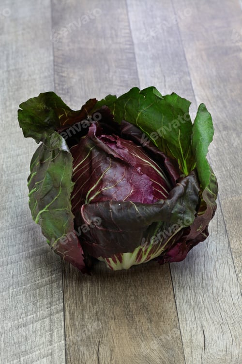 Preview: radicchio chioggia, italian fresh vegetable