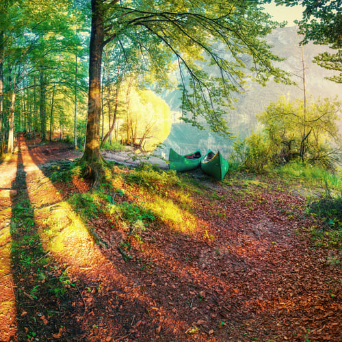 Preview: Boats are in the woods near the water.