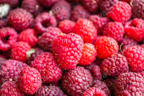 Preview: Ripe red raspberry fruits.