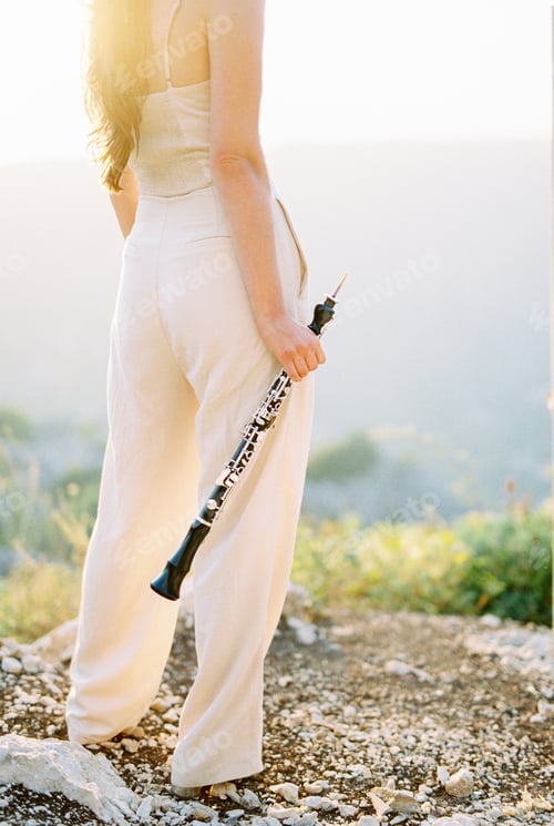 Preview: Girl with a clarinet in her hand stands on a rock and looks at the mountains. Back view. Cropped