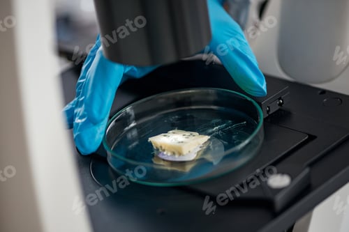 Preview: Food safety