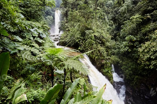 Preview: Waterfall in beautiful rainforest