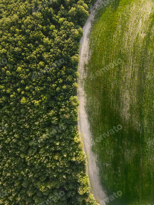 Preview: Green Abstract