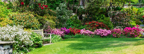 Preview: Beautiful Garden with blooming trees during spring time