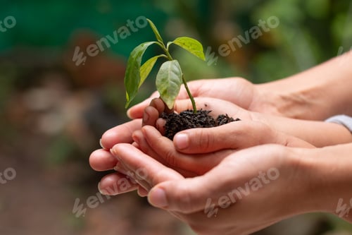Preview: Child and mother caring for a plant: an ecological gesture on Earth Day