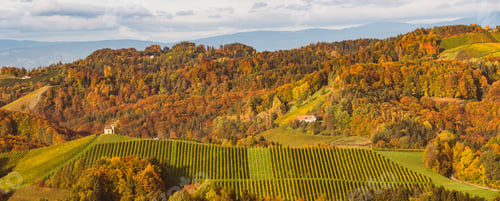 Preview: South styria vineyards landscape, Tuscany of Austria. Sunrise in autumn
