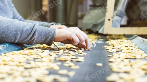 Preview: hands selecting beans on a conveyor belt