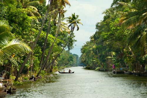 Preview: Landscape of Alleppey backwaters, Kerala, India.