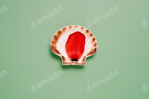 Preview: tulip petal on scallop seashell