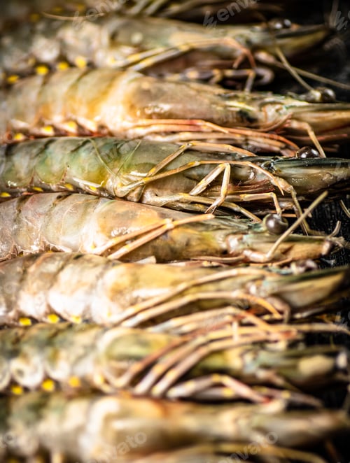 Preview: Raw shrimp. Macro background. Shrimp texture.