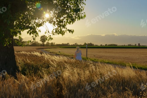 Preview: Fields