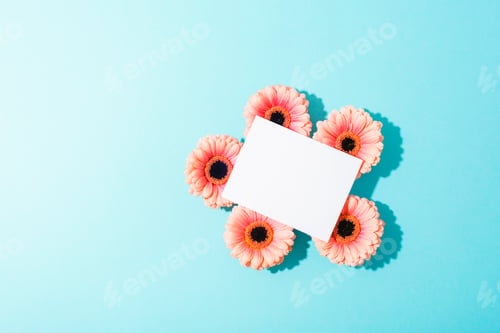 Preview: Blank card surrounded by pink gerbera flowers on blue background in sunlight.