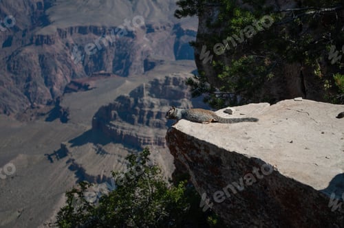 Preview: Magnificent view of the Grand Canyon in the United States, featuring layered geological formations