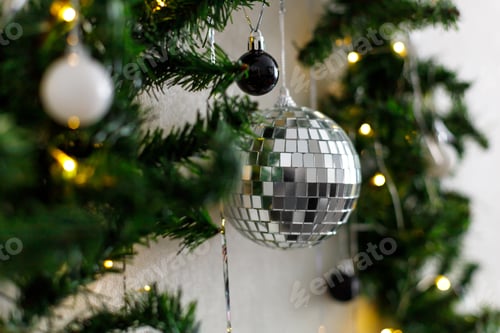 Preview: Christmas tree branches decorated with black and white balls and light garland on a white background