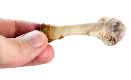 Preview: Hand holding a chicken bone