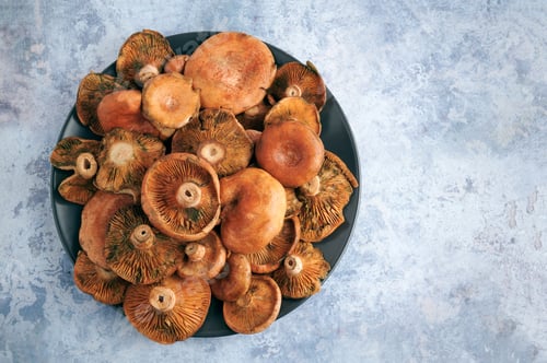 Preview: Saffron milk caps filling a dark plate on marble table