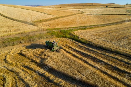 Preview: Wheat Harvest Old And New Combined