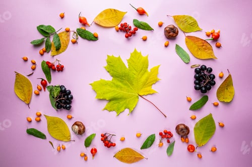 Preview: Autumn Leaves and Berries Composition on Light Purple