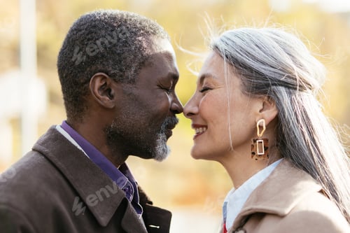 Preview: Storytelling image of a multiethnic senior couple in love