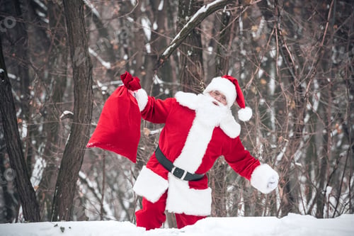 Preview: Santa Claus walking from the forest with red sack full of gifts
