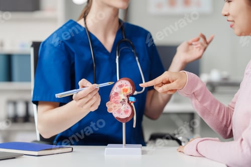 Preview: Kidney disease, Chronic kidney disease ckd, Female doctor explains the causes of the disease