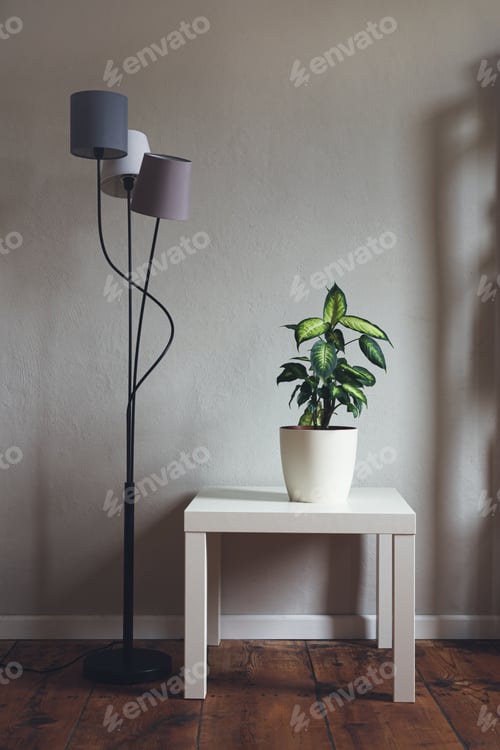 Preview: Dieffenbachia in candinavian style inteior