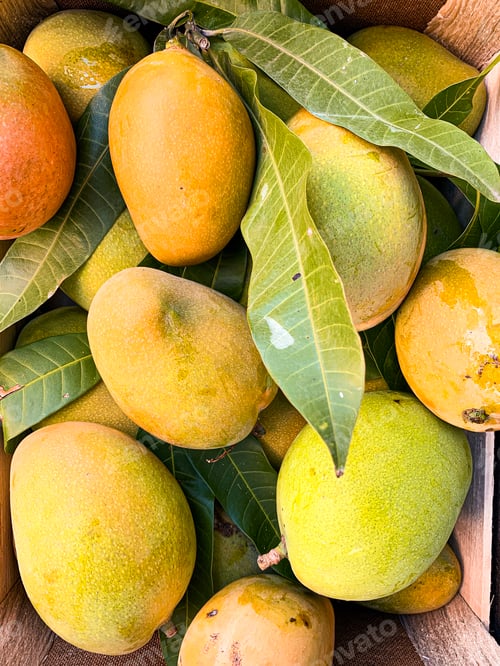 Preview: Mango fruit flat lay