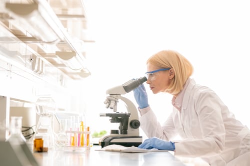 Preview: Studying sample through microscope