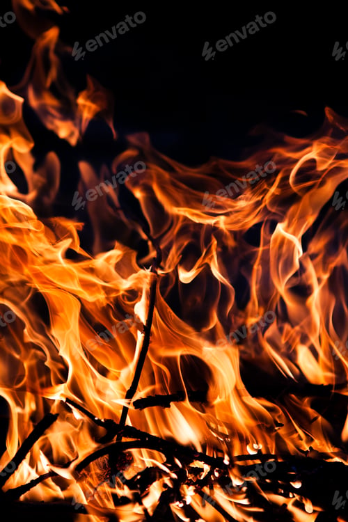 Preview: fire burning on a black background. Red fiery flame