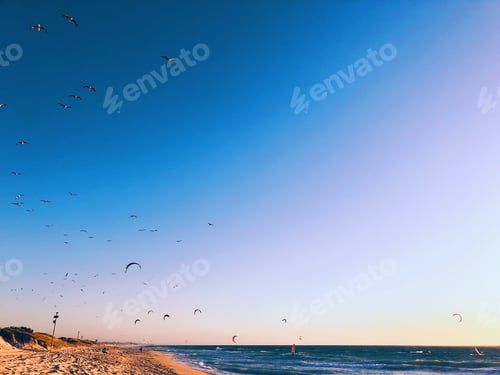 Preview: Blue Ocean and sandy beach