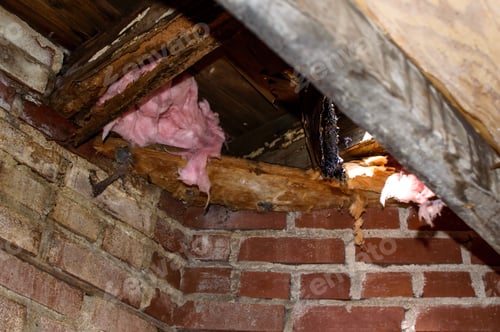 Preview: Property damage water damage to roof