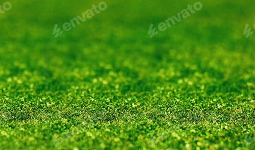 Preview: grass close up