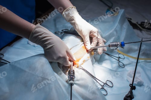 Preview: Vet doing the operation for sterilization. The cat on the operating table in a veterinary clinic.