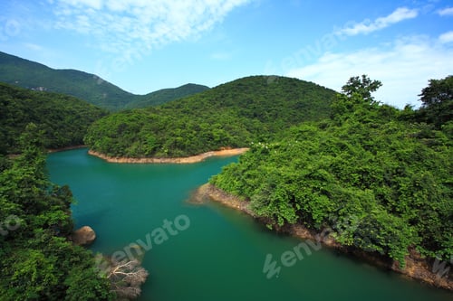 Preview: lake in forest